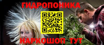 спайс Будённовск